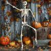 ArtCreativity 6ft Halloween Skeleton Decor, Posable Skeleton Life Size, Plastic Skeletons for Halloween Decorations Indoor and Outdoor – Full Size Skeletons for Haunted House Props