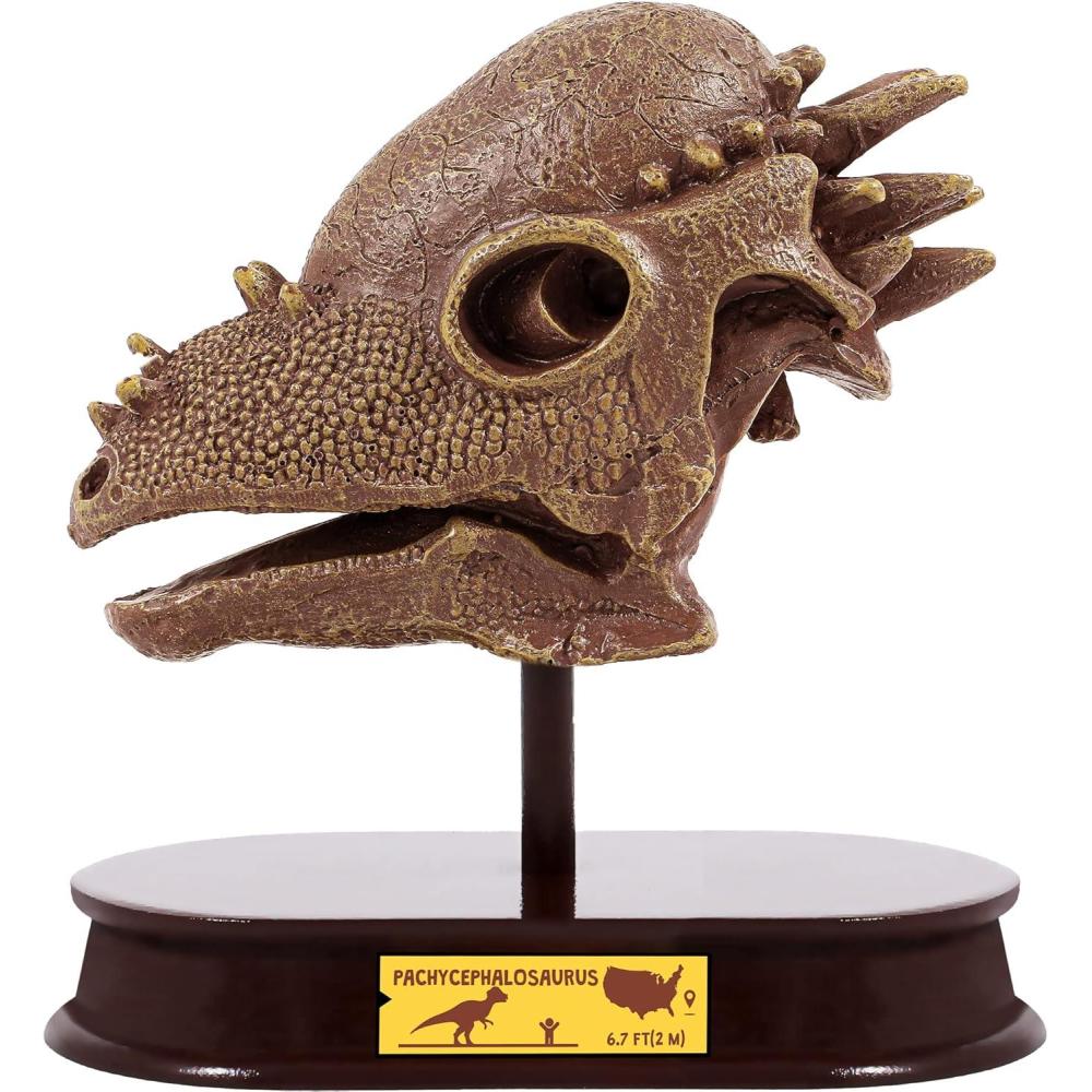 imageArtCreativity Dinosaur Excavation Kit for Kids 55 Stegosaurus Skull Excavating Set with Fossil Digging Tools and Stand Fun Science Activity Toy Educational Dinosaur Gift for Boys and GirlsPachycephalosaurs