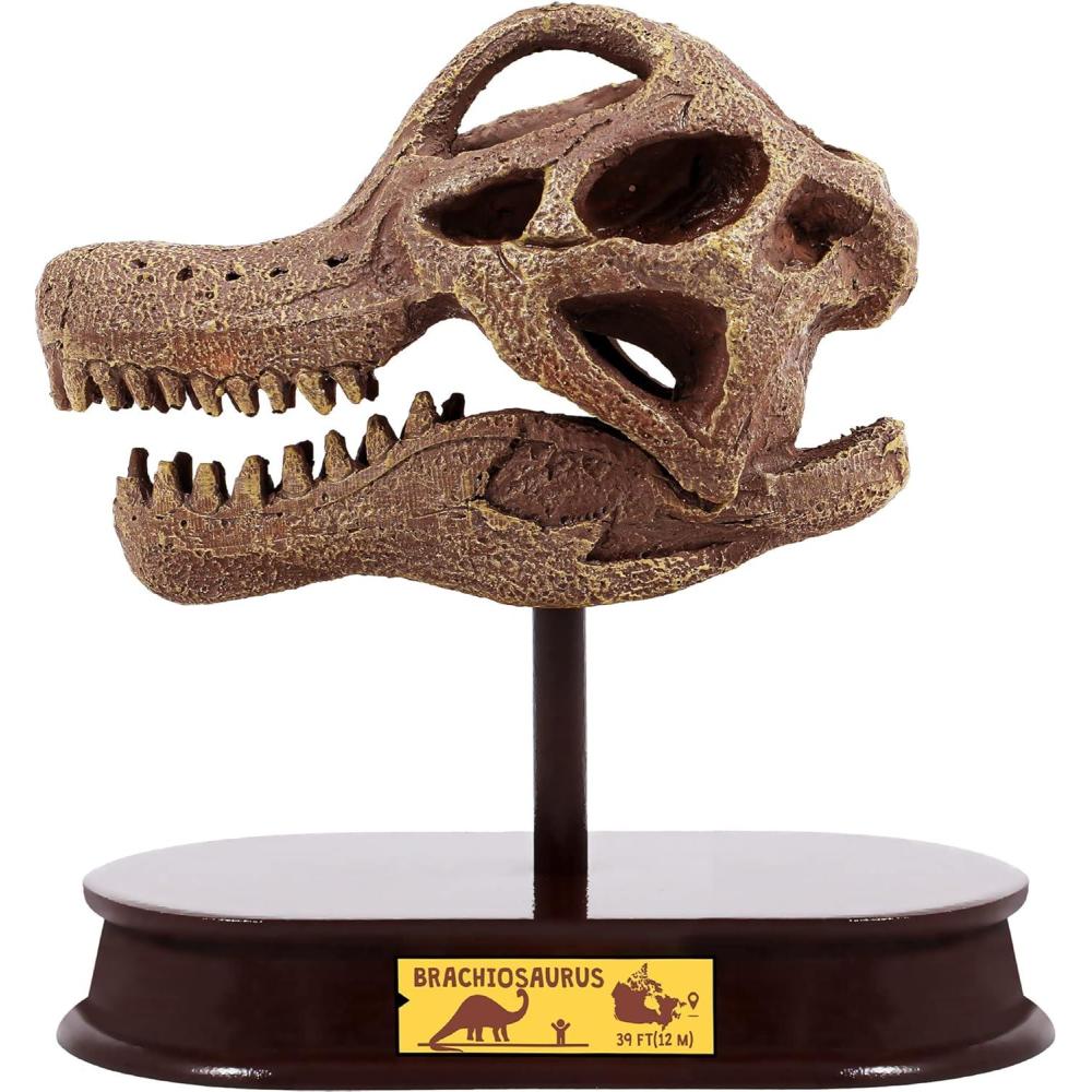 imageArtCreativity Dinosaur Excavation Kit for Kids 55 Stegosaurus Skull Excavating Set with Fossil Digging Tools and Stand Fun Science Activity Toy Educational Dinosaur Gift for Boys and GirlsBrachiosaurus