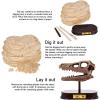 ArtCreativity Dinosaur Excavation Kit for Kids, 5.5” Stegosaurus Skull Excavating Set with Fossil Digging Tools and Stand, Fun Science Activity Toy, Educational Dinosaur Gift for Boys and Girls(Velociraptor)