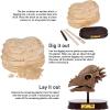 ArtCreativity Dinosaur Excavation Kit for Kids, 5.5” Stegosaurus Skull Excavating Set with Fossil Digging Tools and Stand, Fun Science Activity Toy, Educational Dinosaur Gift for Boys and Girls(Pachycephalosaurs)