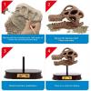 ArtCreativity Dinosaur Excavation Kit for Kids, 5.5” Stegosaurus Skull Excavating Set with Fossil Digging Tools and Stand, Fun Science Activity Toy, Educational Dinosaur Gift for Boys and Girls(Brachiosaurus)