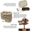 ArtCreativity Dinosaur Excavation Kit for Kids, 5.5” Stegosaurus Skull Excavating Set with Fossil Digging Tools and Stand, Fun Science Activity Toy, Educational Dinosaur Gift for Boys and Girls(Brachiosaurus)