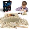 ArtCreativity Dino Teeth Dig and Discover Excavation Kit for Kids, Includes Triceratops and Spinosaurus Toy Fossil Teeth with 2 Digging Tools, Interactive Dinosaur Gifts for Boys and Girls(T-rex and Tarbosaurus (2 Teeth))