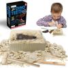 ArtCreativity Dino Teeth Dig and Discover Excavation Kit for Kids, Includes Triceratops and Spinosaurus Toy Fossil Teeth with 2 Digging Tools, Interactive Dinosaur Gifts for Boys and Girls(Alberlosaurus and Carcharodolosaurus (2 Teeth))