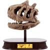 ArtCreativity Dinosaur Excavation Kit for Kids, 5.5” Stegosaurus Skull Excavating Set with Fossil Digging Tools and Stand, Fun Science Activity Toy, Educational Dinosaur Gift for Boys and Girls(Carnotaurus)