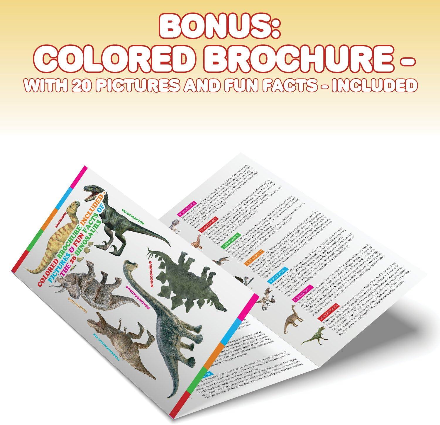 imageKarty Large Dinosaur Stencils for Kids Extra Thick Includes 20 Large Dinosaur Shapes with Pictures and Fun Facts About Each Dinosaur Durable Animal Stencils Great for Arts ampamp Crafts