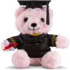 ArtCreativity Graduation Pink Teddy Bear – 10 Inches – Cute Plush Bear with Hat, Gown, Sash, and Diploma – Birthday, Kindergarten & Preschool Graduation Gift for Girls – Adorable Stuffed Animal