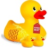 Yellow Giant Ducky